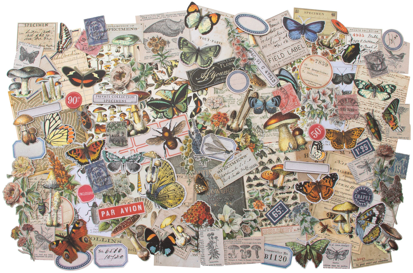 Tim Holtz Ephemera Pack 134/Pkg Field Notes