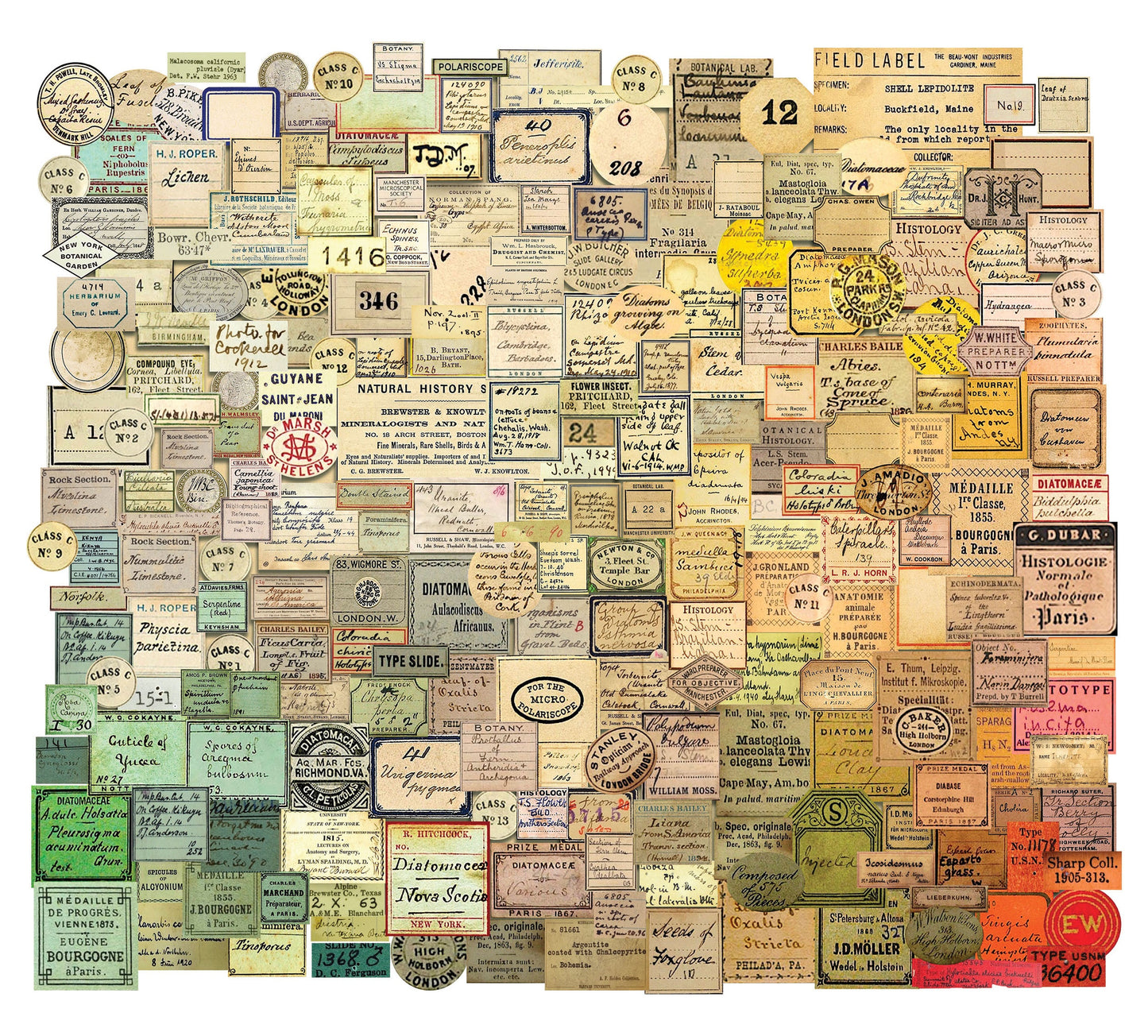 Idea-Ology Ephemera Snippets 233/Pkg Curator