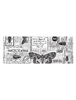 Tim Holtz Idea-ology Collage Paper Entomology