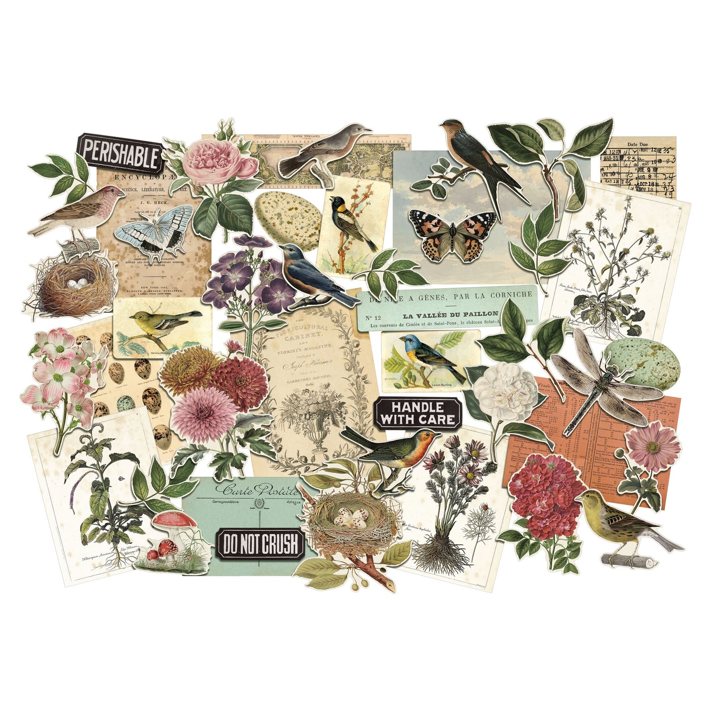 Tim Holtz Die-Cuts 45/Pkg Organic