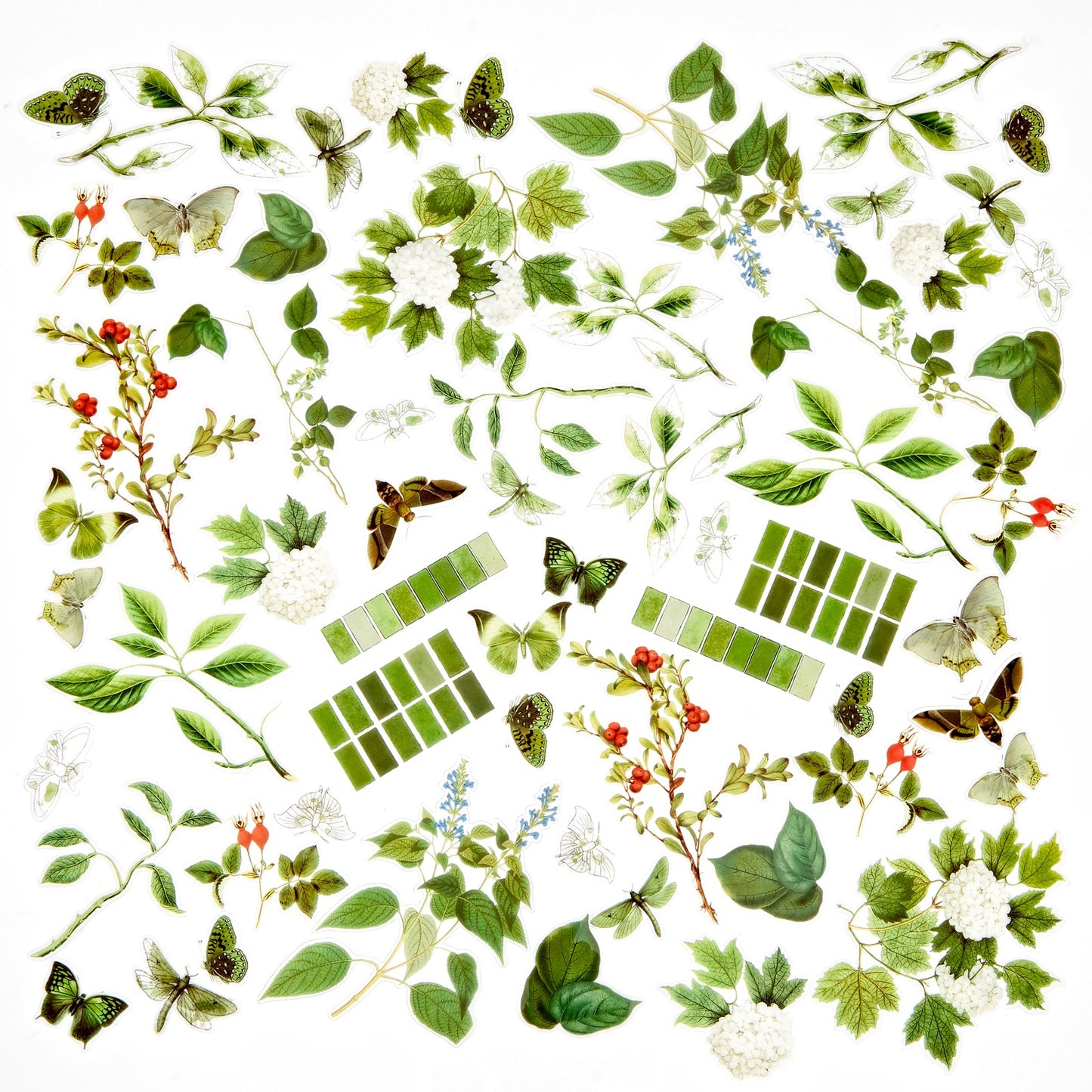 Color Swatch: Willow Acetate Assortment