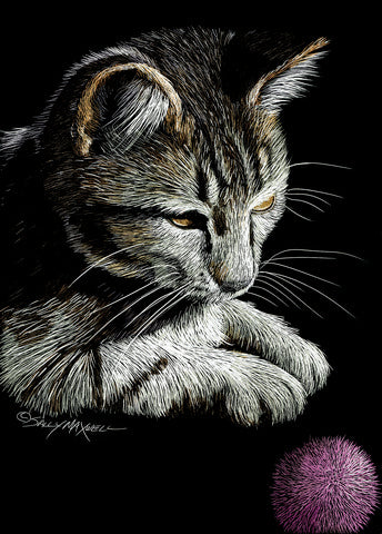 Scratchbord Kit Cat & Ball Pattern