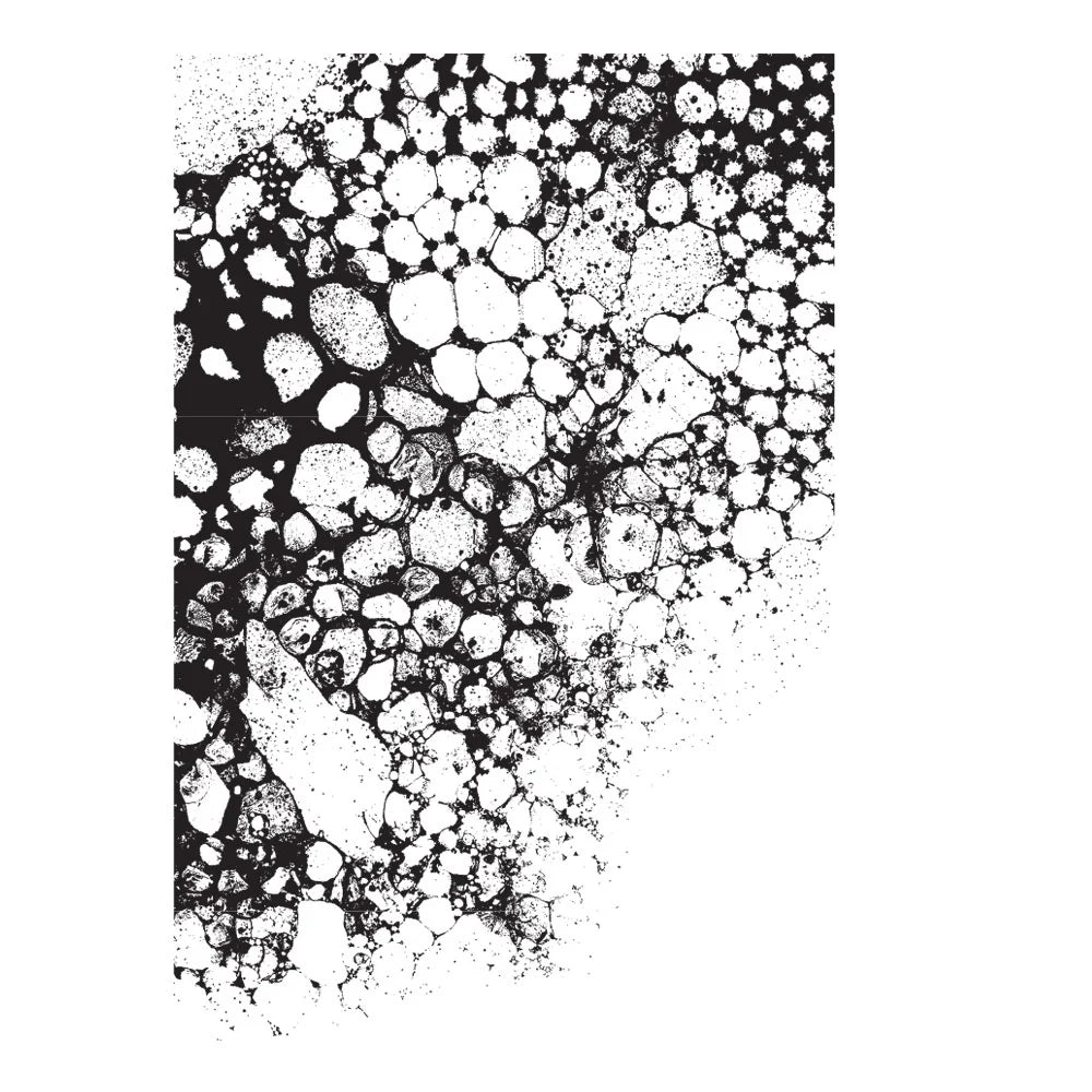 Tim Holtz Stampers Anonymous Bubbles Stamp