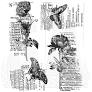 Tim Holtz Stampers Anonymous Botanic Collage Stamps