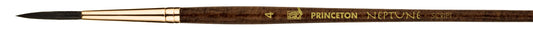 Princeton Neptune Script 1